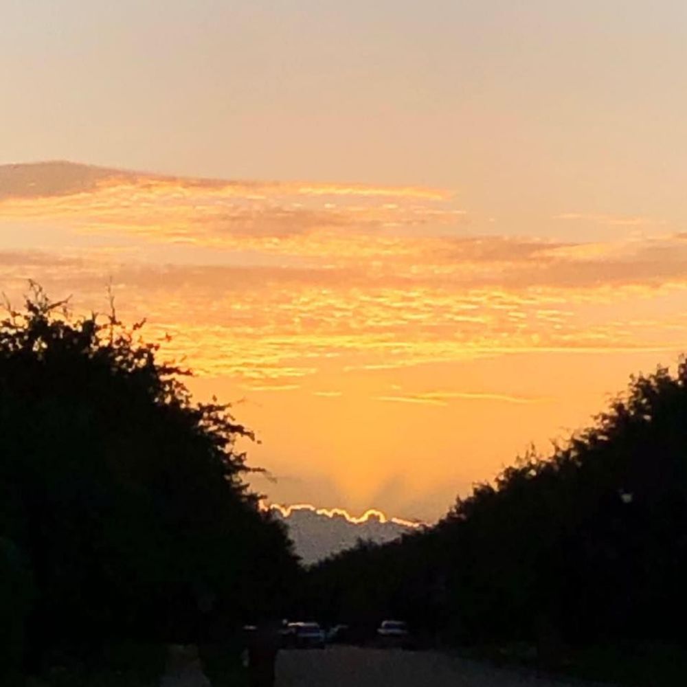 Meet your Posher, Liz